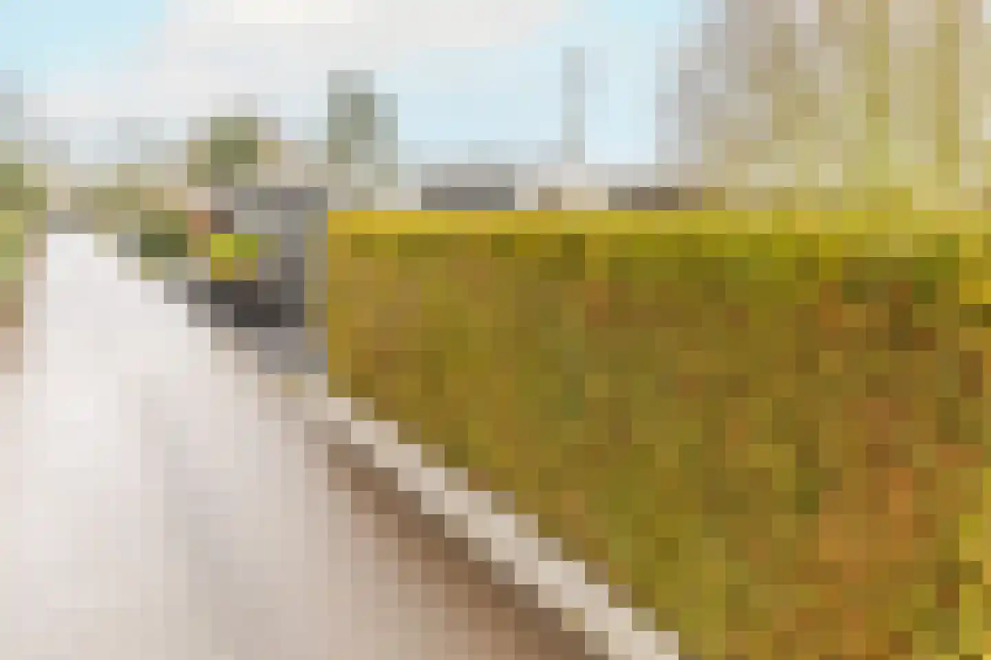 Rijnbandijk 111 56 Maurik thumbnail 34