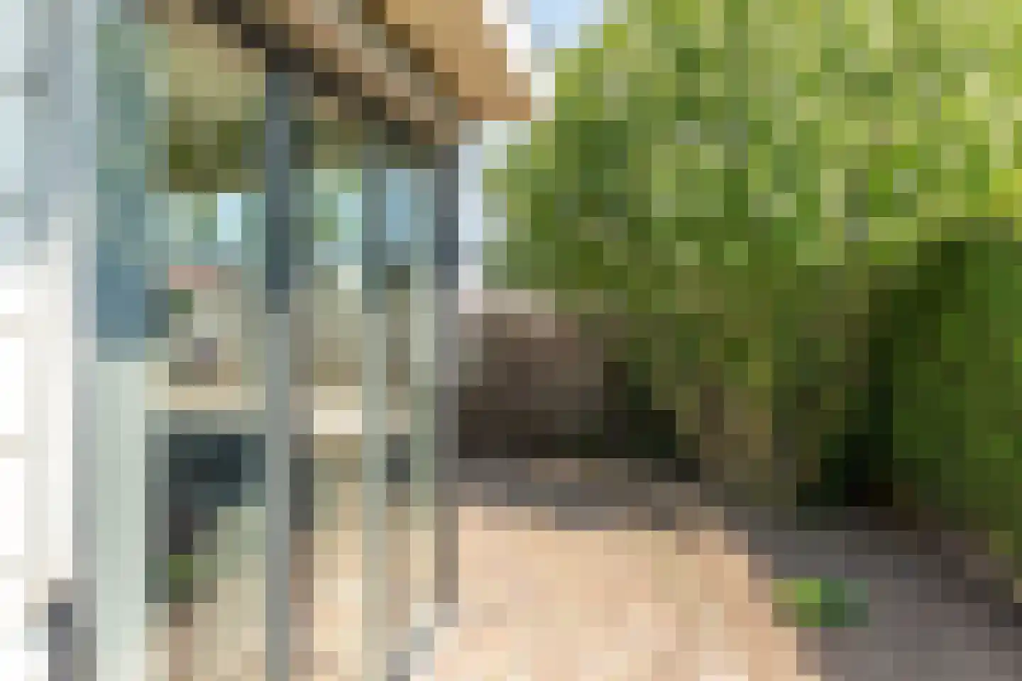 Rijnbandijk 111 56 Maurik thumbnail 35
