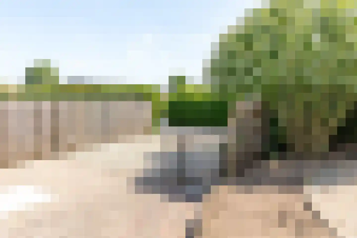 Rijnbandijk 111 56 Maurik thumbnail 36