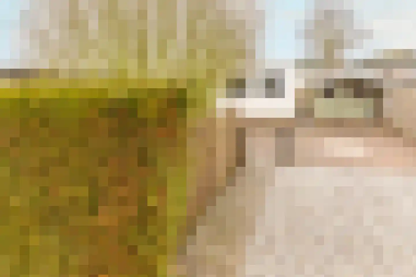 Rijnbandijk 111 56 Maurik thumbnail 37