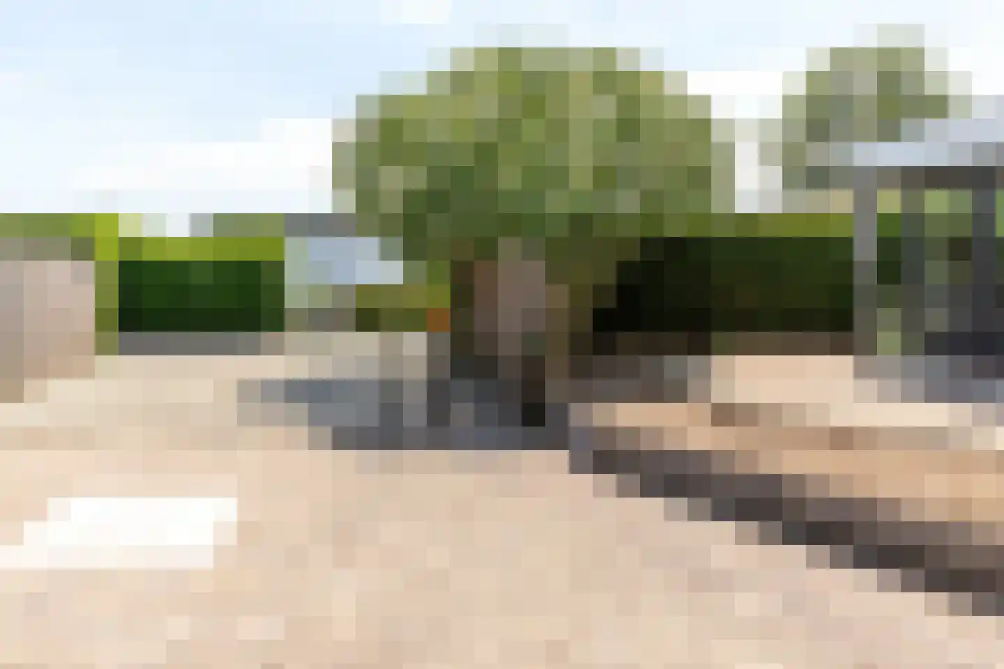 Rijnbandijk 111 56 Maurik thumbnail 5