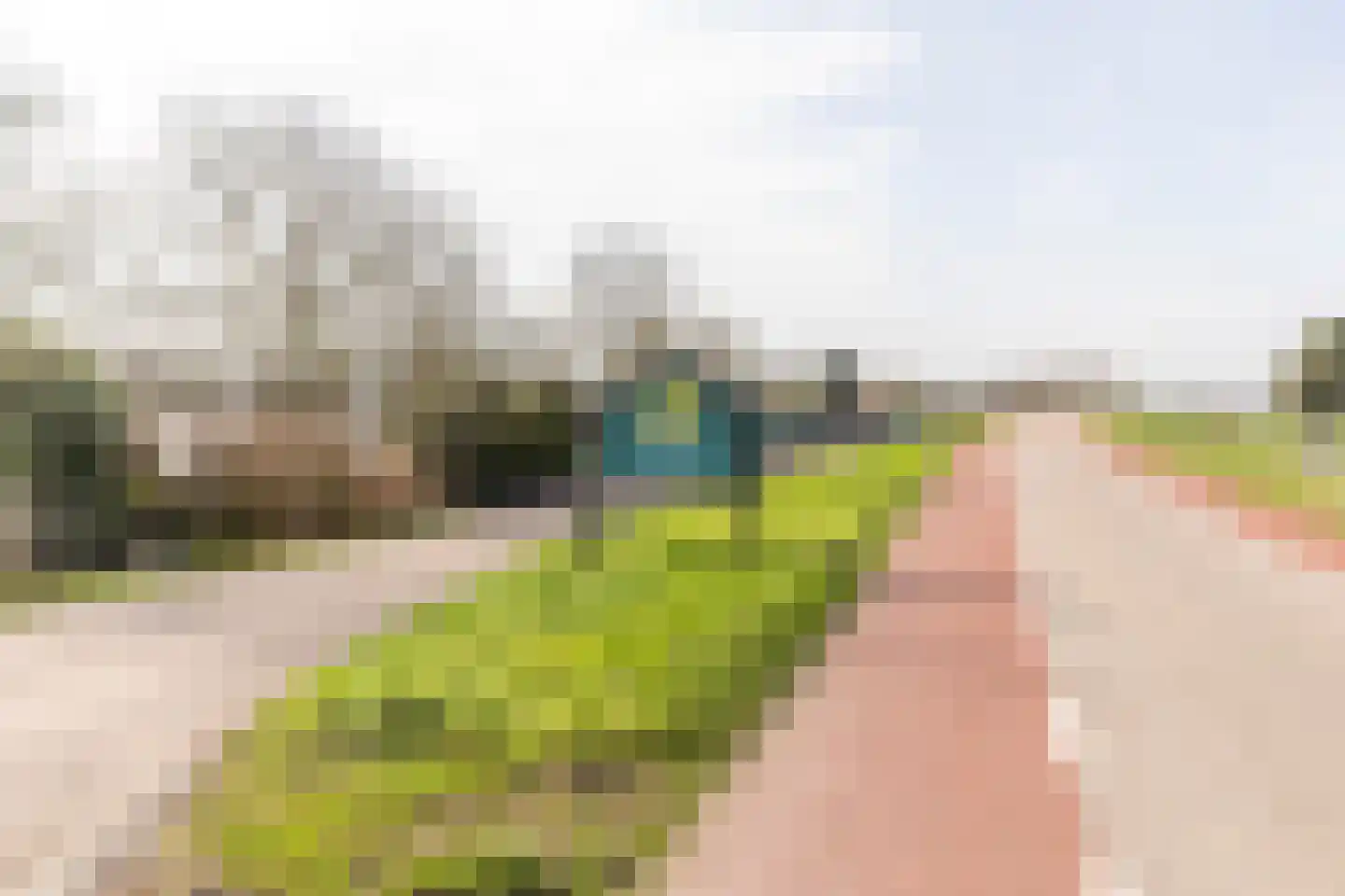 Rijnbandijk 111 56 Maurik thumbnail 53