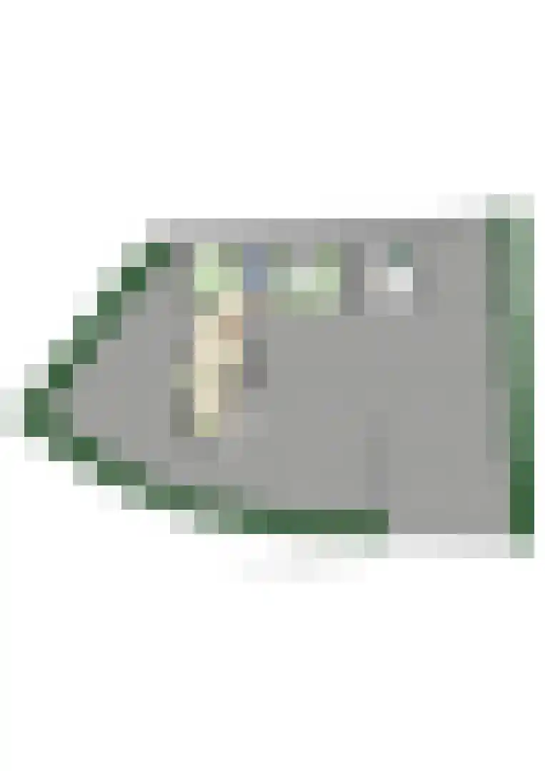 Rijnbandijk 111 56 Maurik thumbnail 59