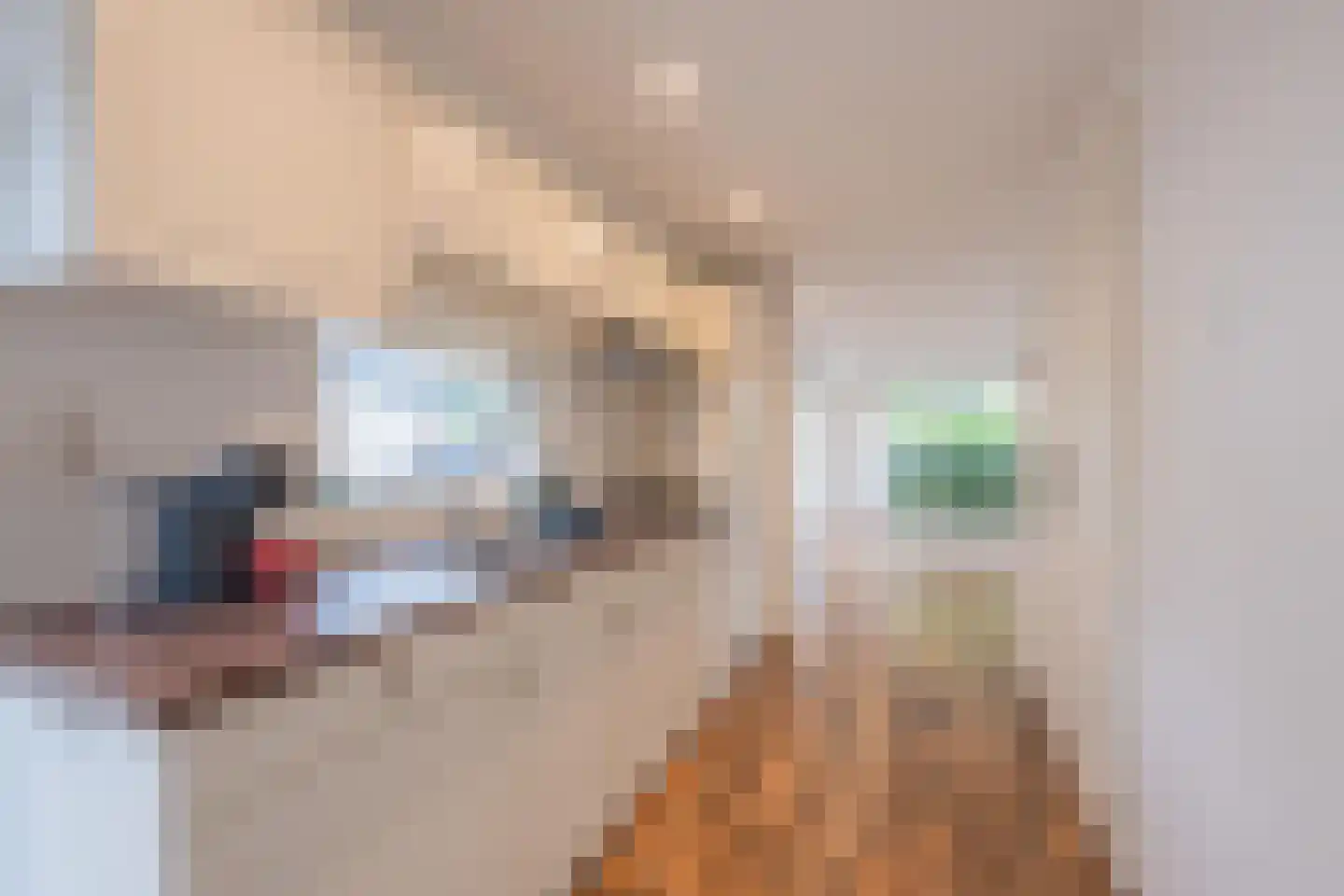 Rijnbandijk 111 62 Maurik thumbnail 16