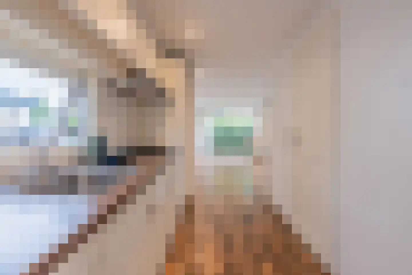 Rijnbandijk 111 62 Maurik thumbnail 27