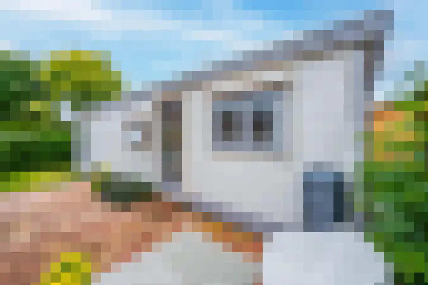 Rijnbandijk 111 62 Maurik thumbnail 31