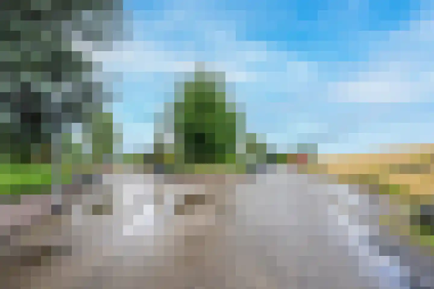 Rijnbandijk 111 62 Maurik thumbnail 43