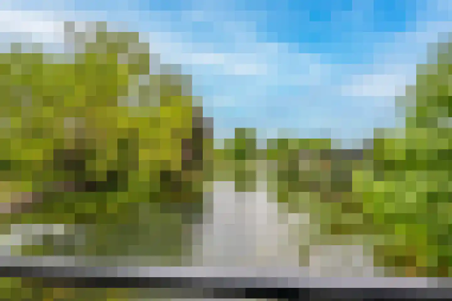 Rijnbandijk 111 62 Maurik thumbnail 46