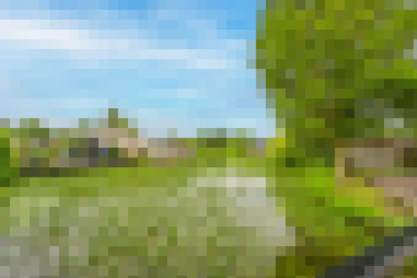 Rijnbandijk 111 62 Maurik thumbnail 48