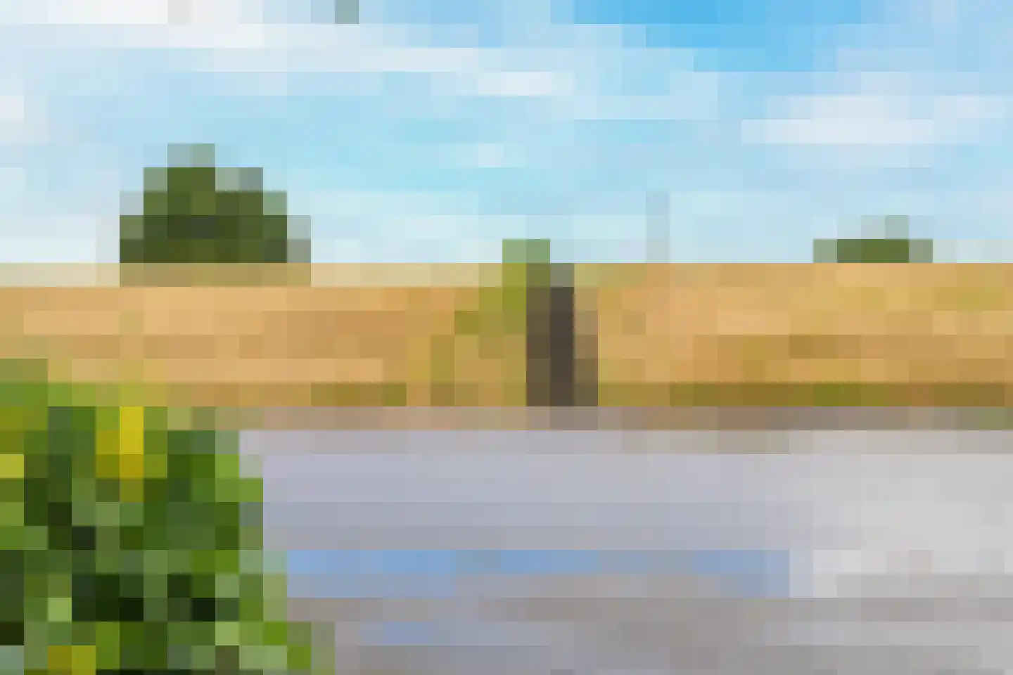 Rijnbandijk 111 62 Maurik thumbnail 52
