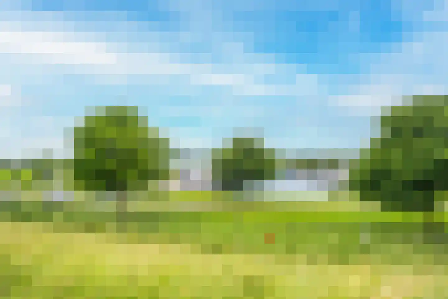 Rijnbandijk 111 62 Maurik thumbnail 54