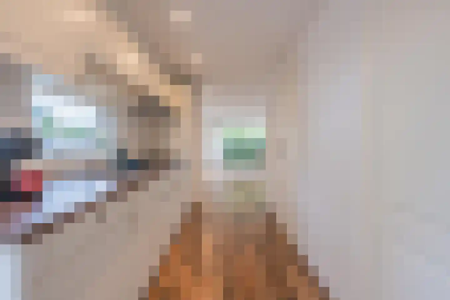 Rijnbandijk 111 62 Maurik thumbnail 8