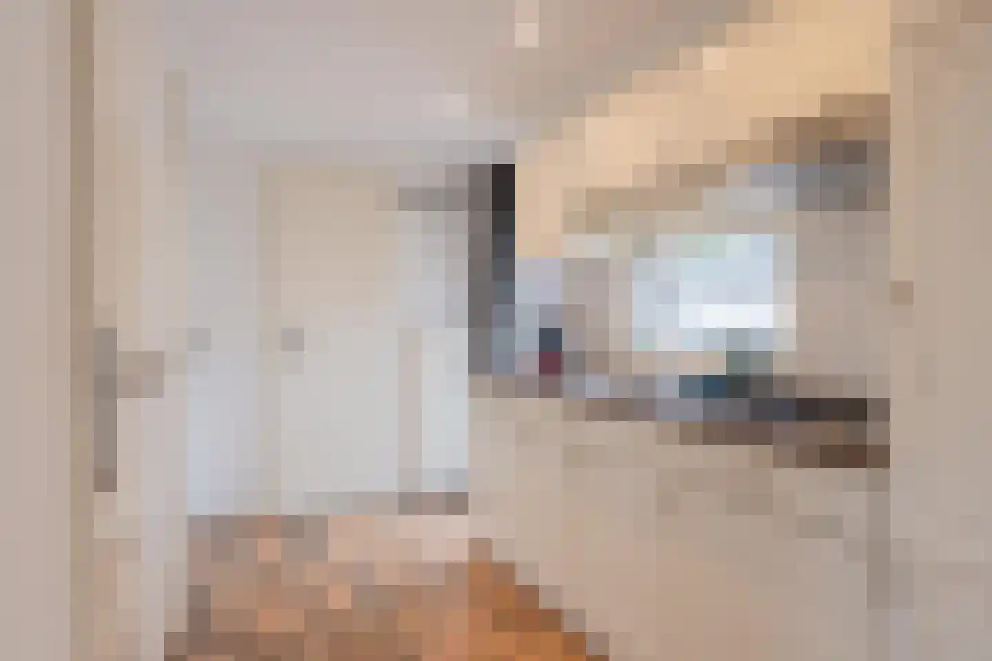 Rijnbandijk 111 62 Maurik thumbnail 9