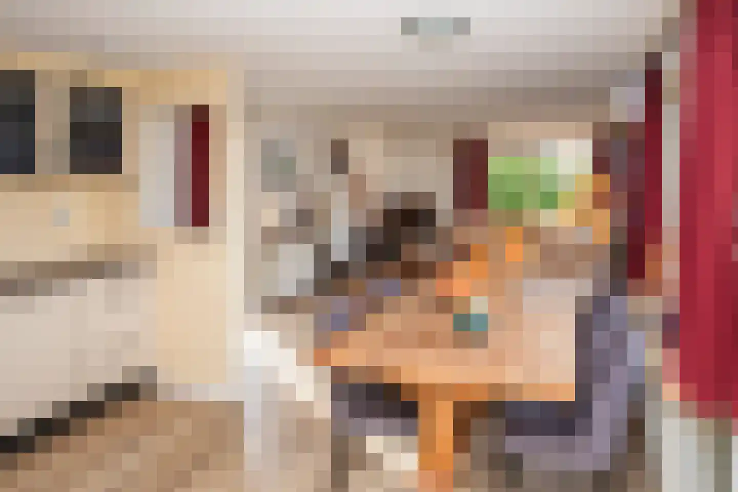 Rijnbandijk 111 71 Maurik thumbnail 17