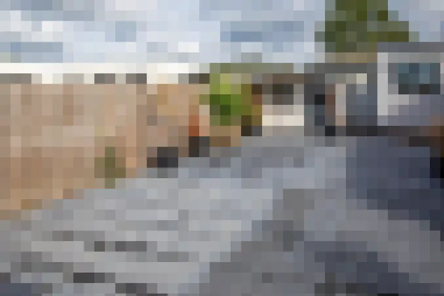 Rijnbandijk 111 71 Maurik thumbnail 28