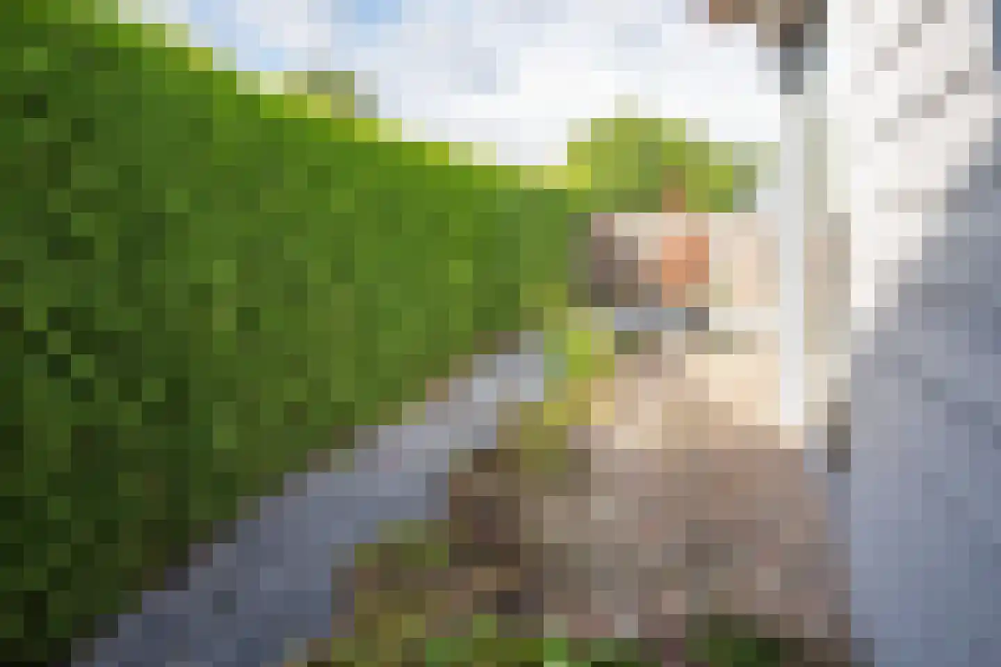 Rijnbandijk 111 71 Maurik thumbnail 7
