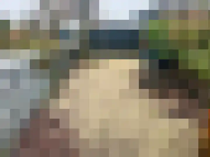 Rijnbandijk 111 81 Maurik thumbnail 11