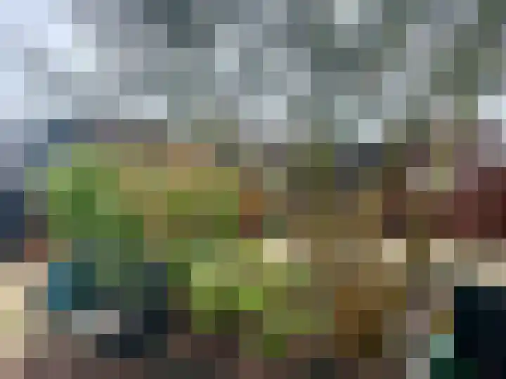 Rijnbandijk 111 81 Maurik thumbnail 12