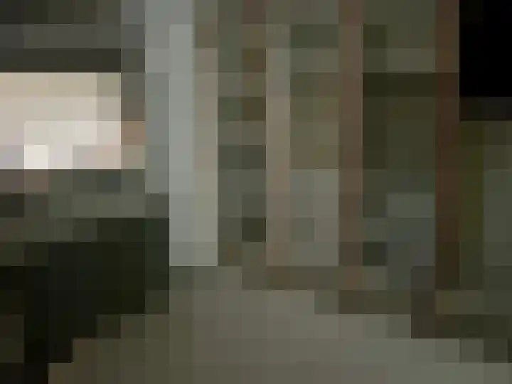 Rijnbandijk 111 81 Maurik thumbnail 20