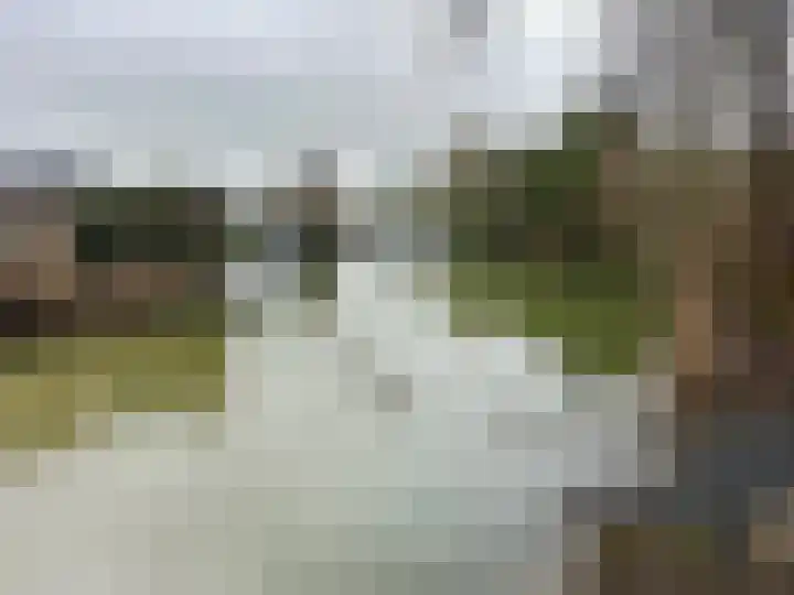 Rijnbandijk 111 81 Maurik thumbnail 28