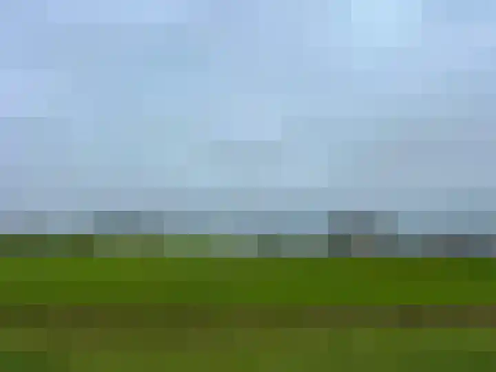 Rijnbandijk 111 81 Maurik thumbnail 30