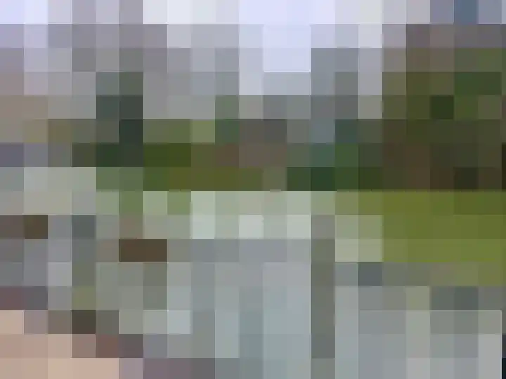 Rijnbandijk 111 81 Maurik thumbnail 9