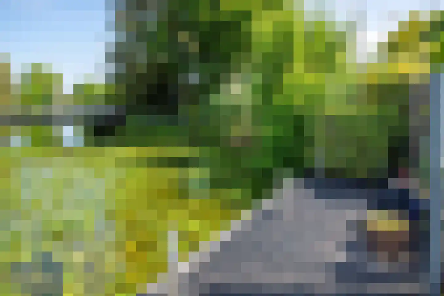 Rijnbandijk 111 85 Maurik thumbnail 11
