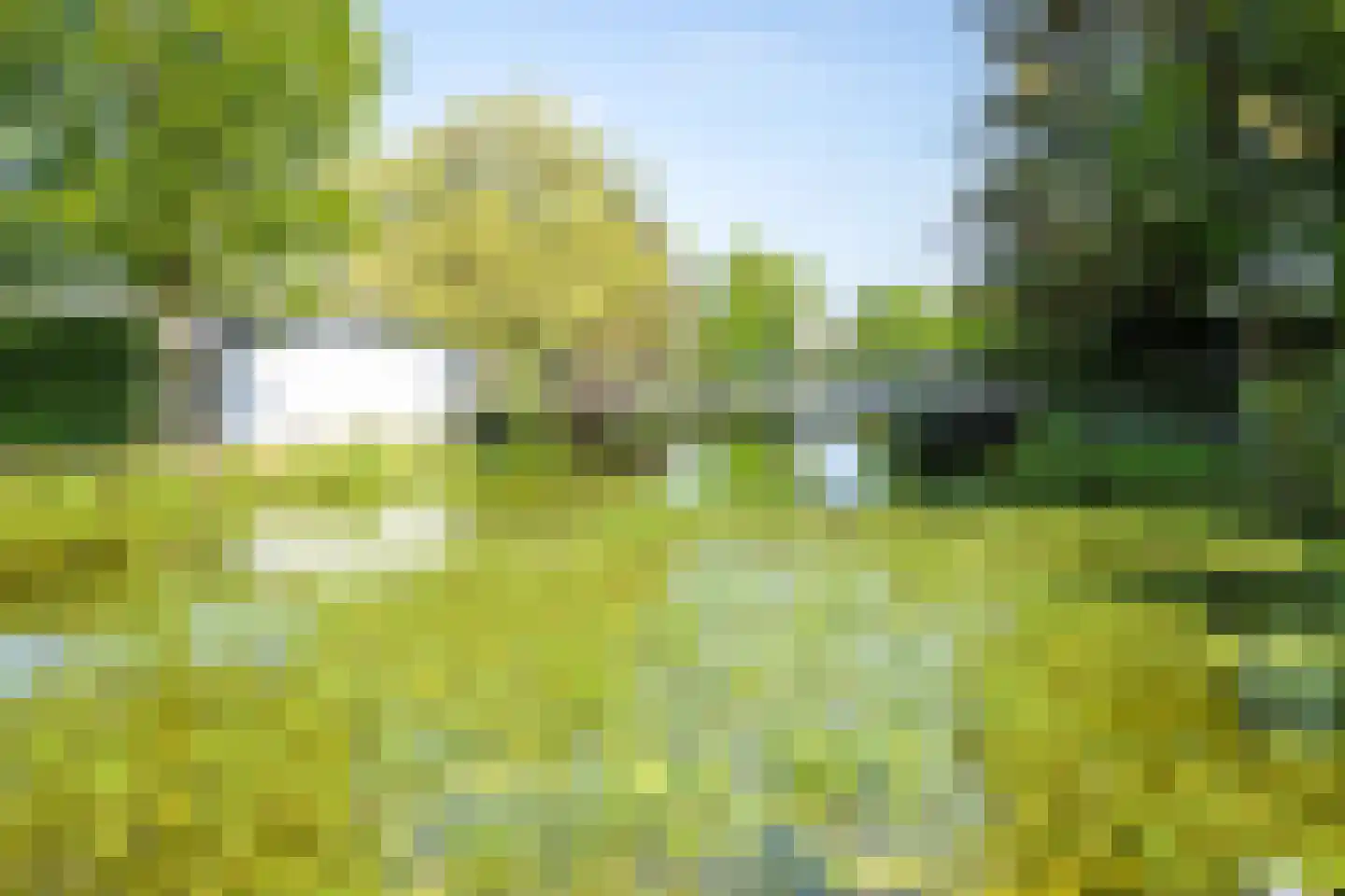 Rijnbandijk 111 85 Maurik thumbnail 12