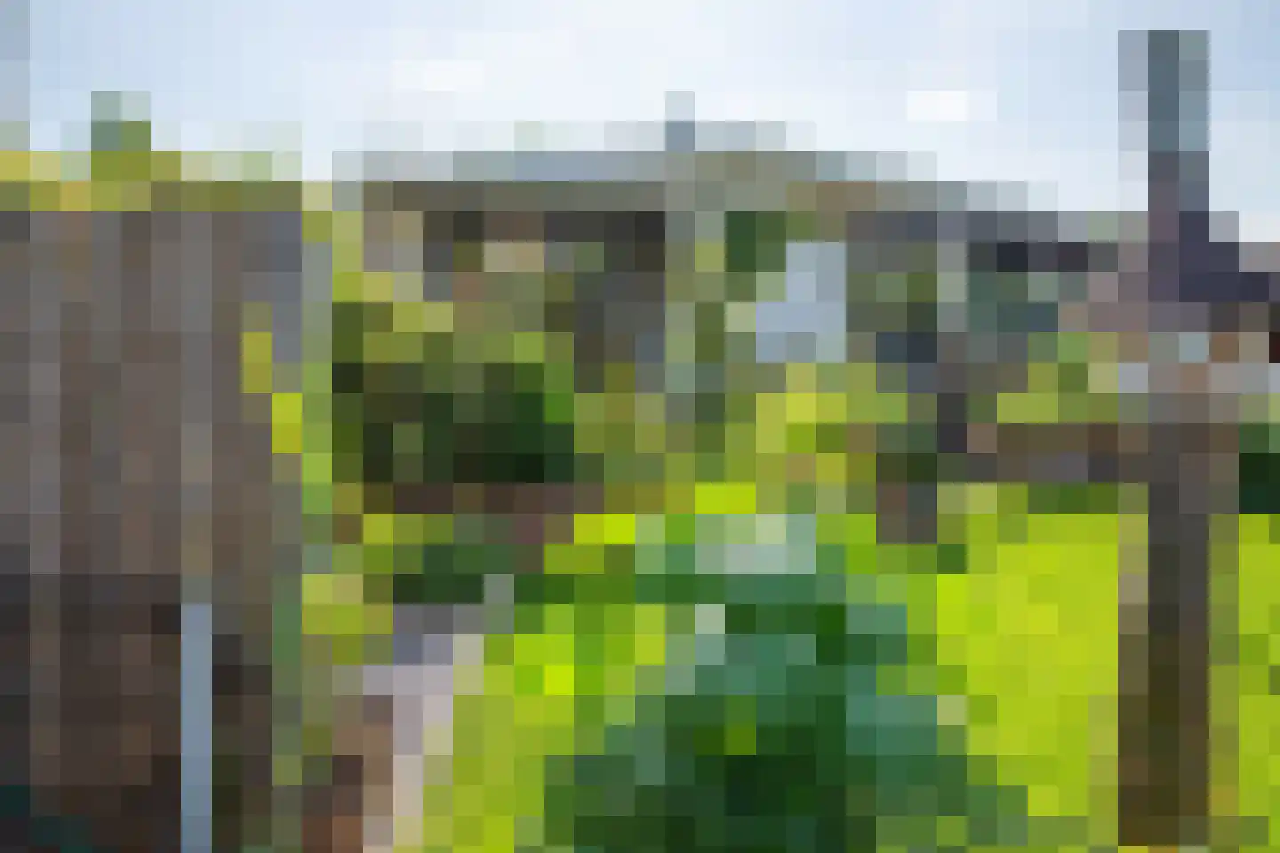 Rijnbandijk 111 85 Maurik thumbnail 37