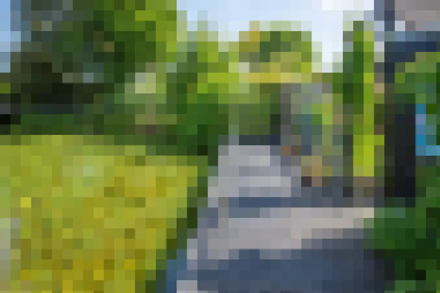 Rijnbandijk 111 85 Maurik thumbnail 38