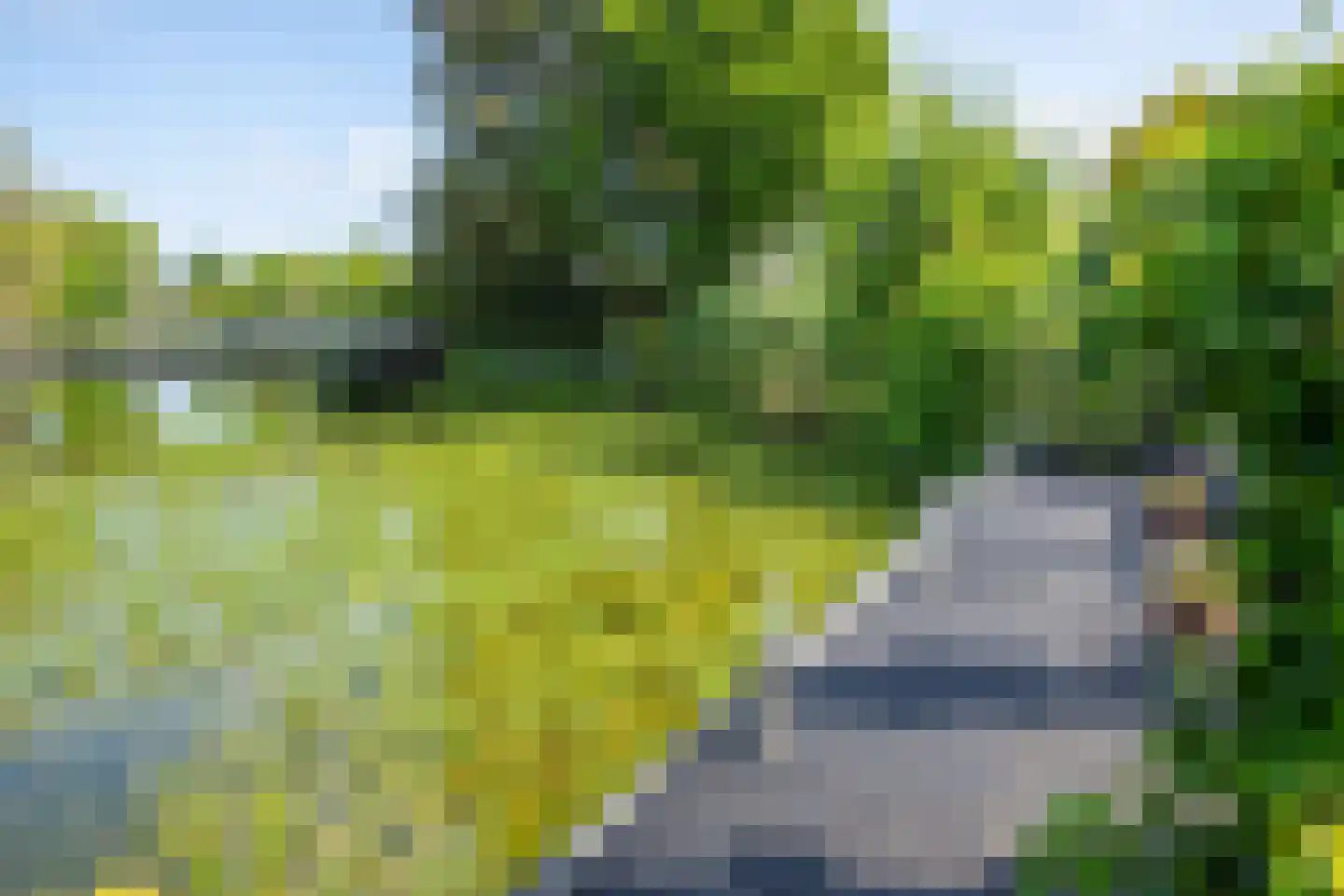 Rijnbandijk 111 85 Maurik thumbnail 39
