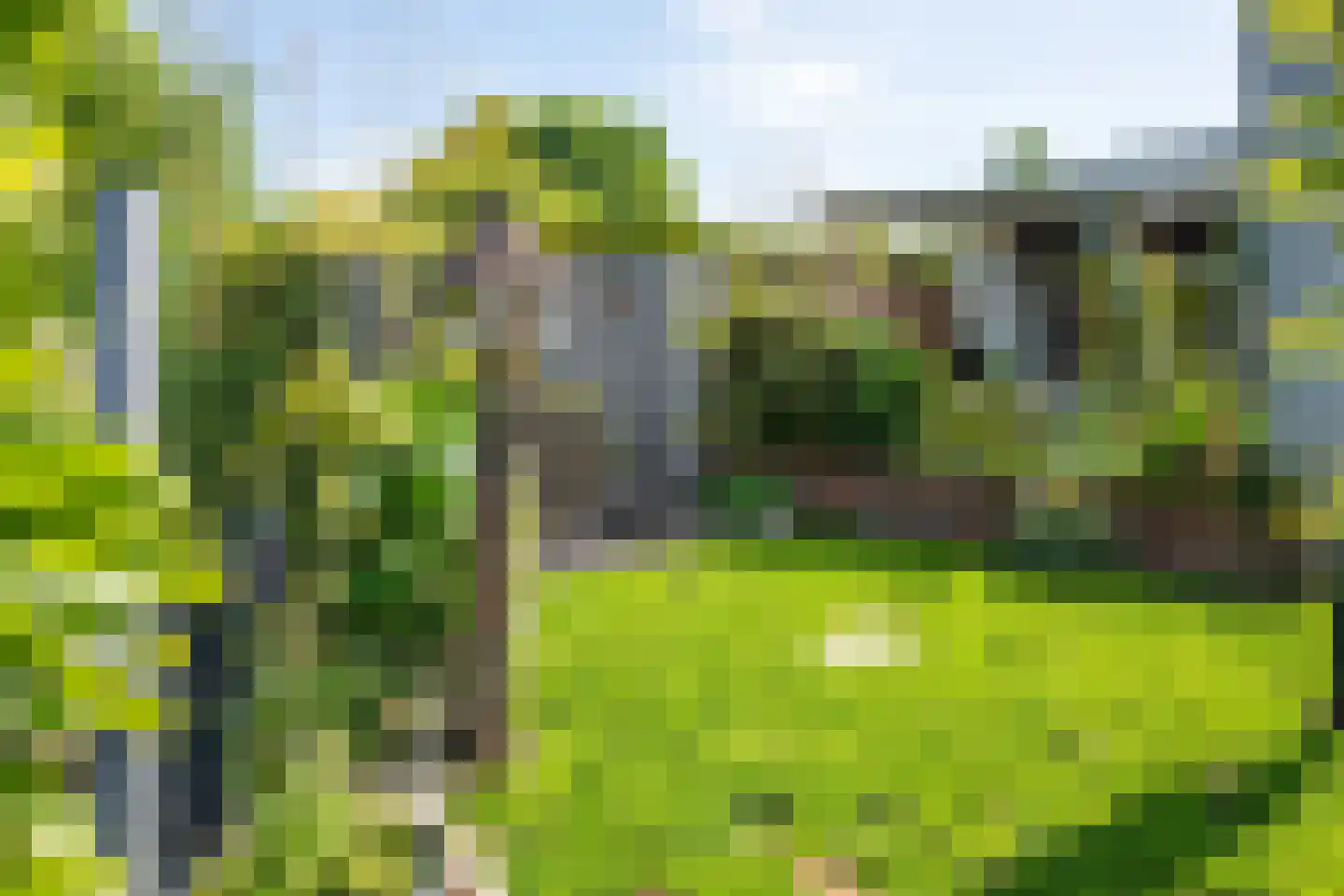 Rijnbandijk 111 85 Maurik thumbnail 42