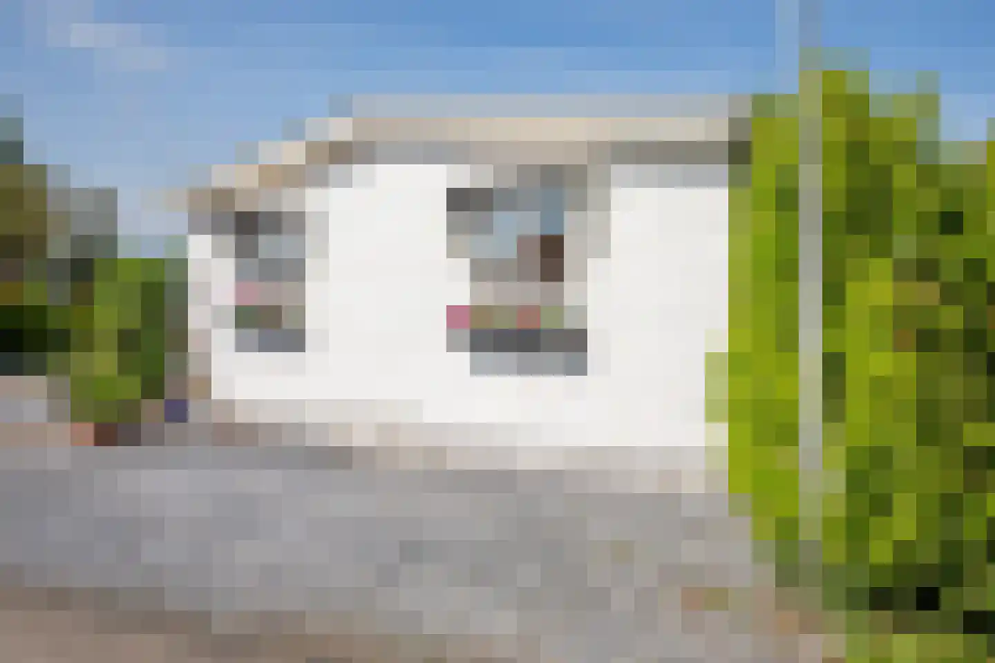 Rijnbandijk 111 85 Maurik thumbnail 54