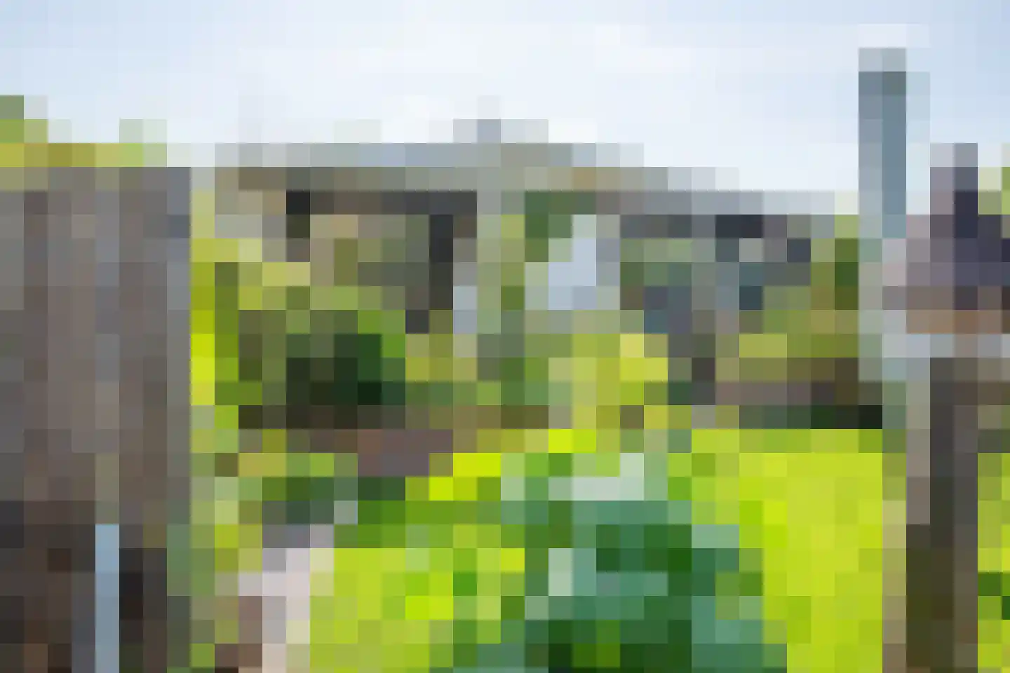 Rijnbandijk 111 85 Maurik thumbnail 55