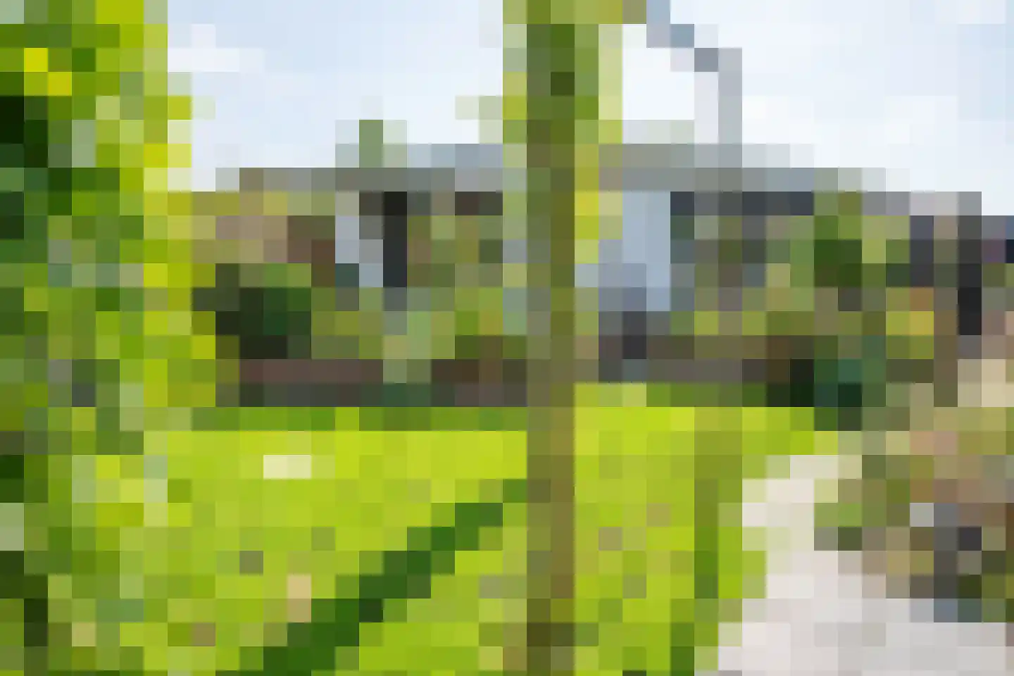 Rijnbandijk 111 85 Maurik thumbnail 56
