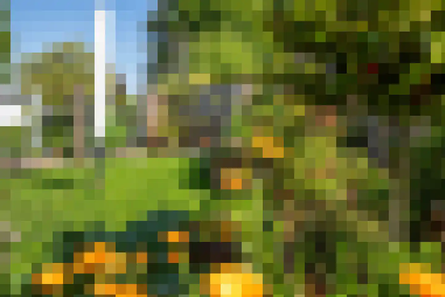 Rijnbandijk 111 85 Maurik thumbnail 59