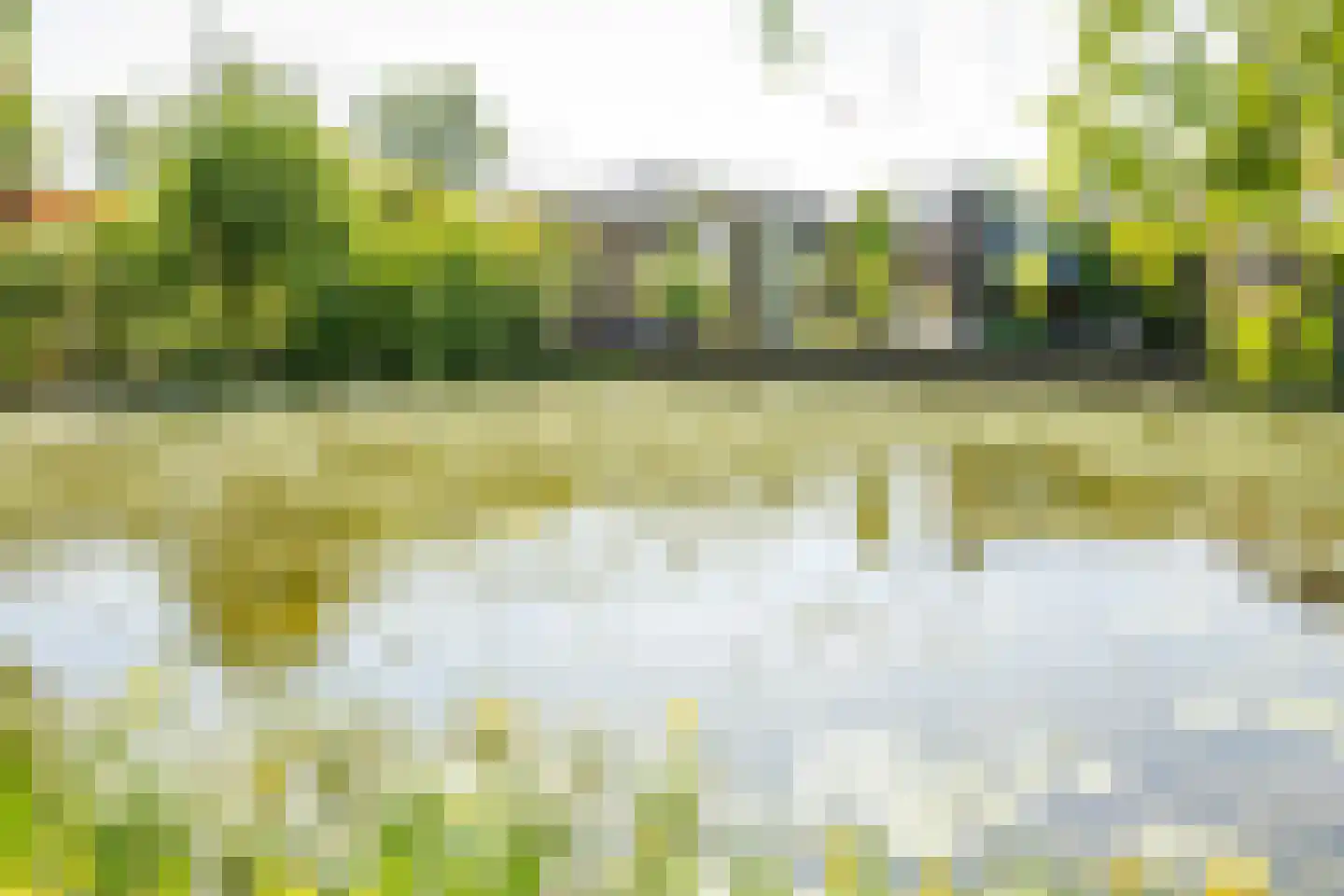 Rijnbandijk 111 85 Maurik thumbnail 6