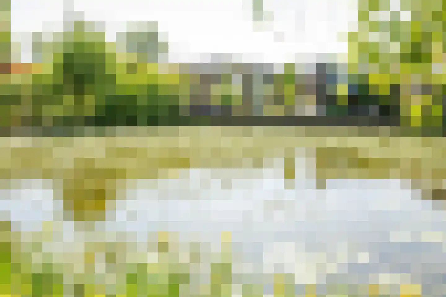 Rijnbandijk 111 85 Maurik thumbnail 6