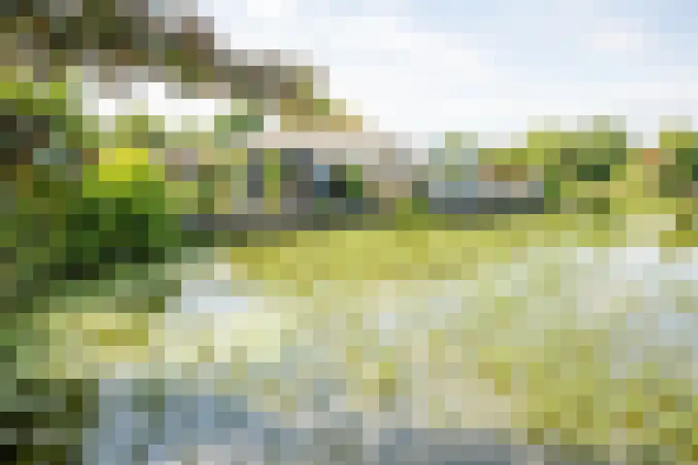 Rijnbandijk 111 85 Maurik thumbnail 7