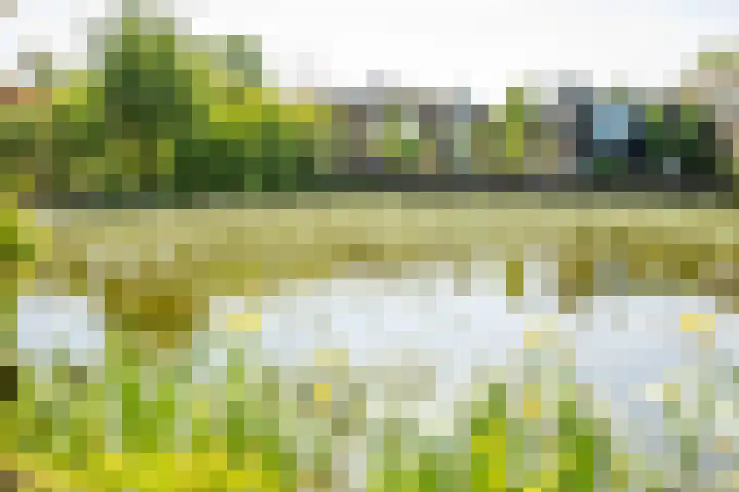 Rijnbandijk 111 85 Maurik thumbnail 81