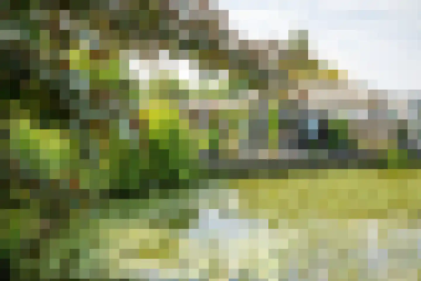 Rijnbandijk 111 85 Maurik thumbnail 82