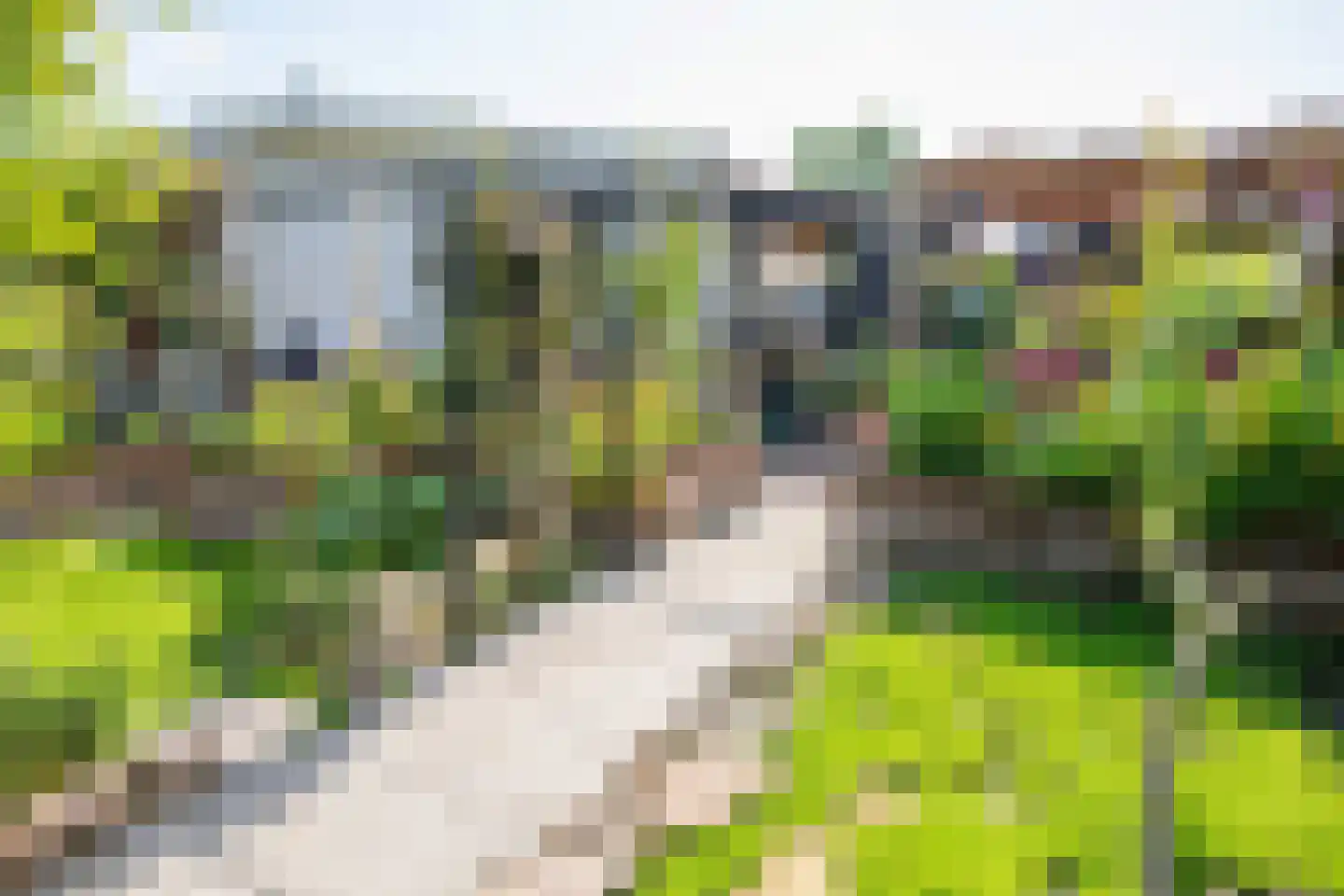 Rijnbandijk 111 85 Maurik thumbnail 83