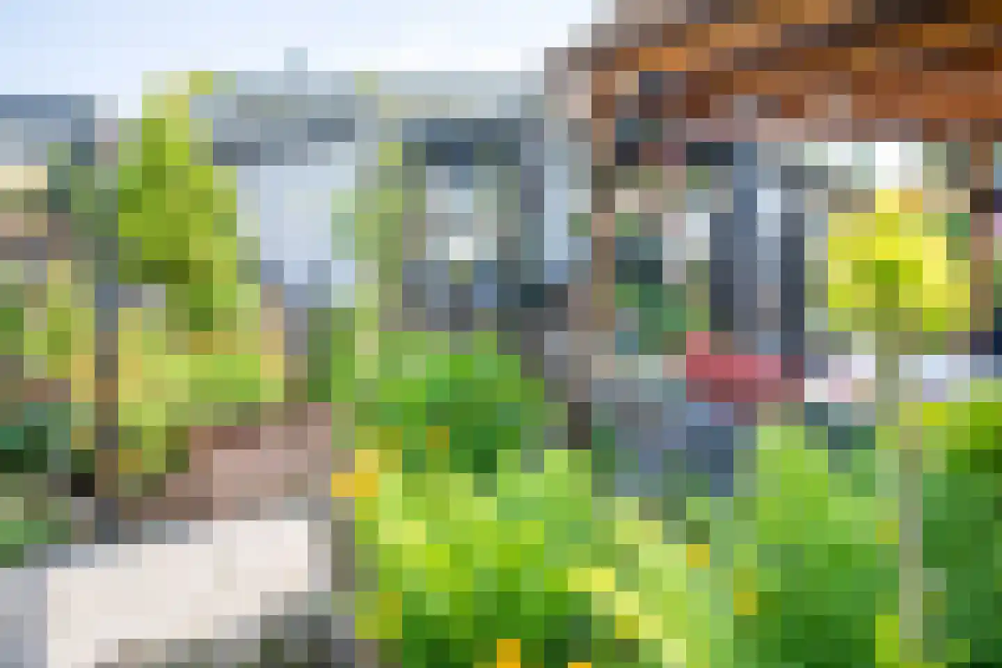 Rijnbandijk 111 85 Maurik thumbnail 86