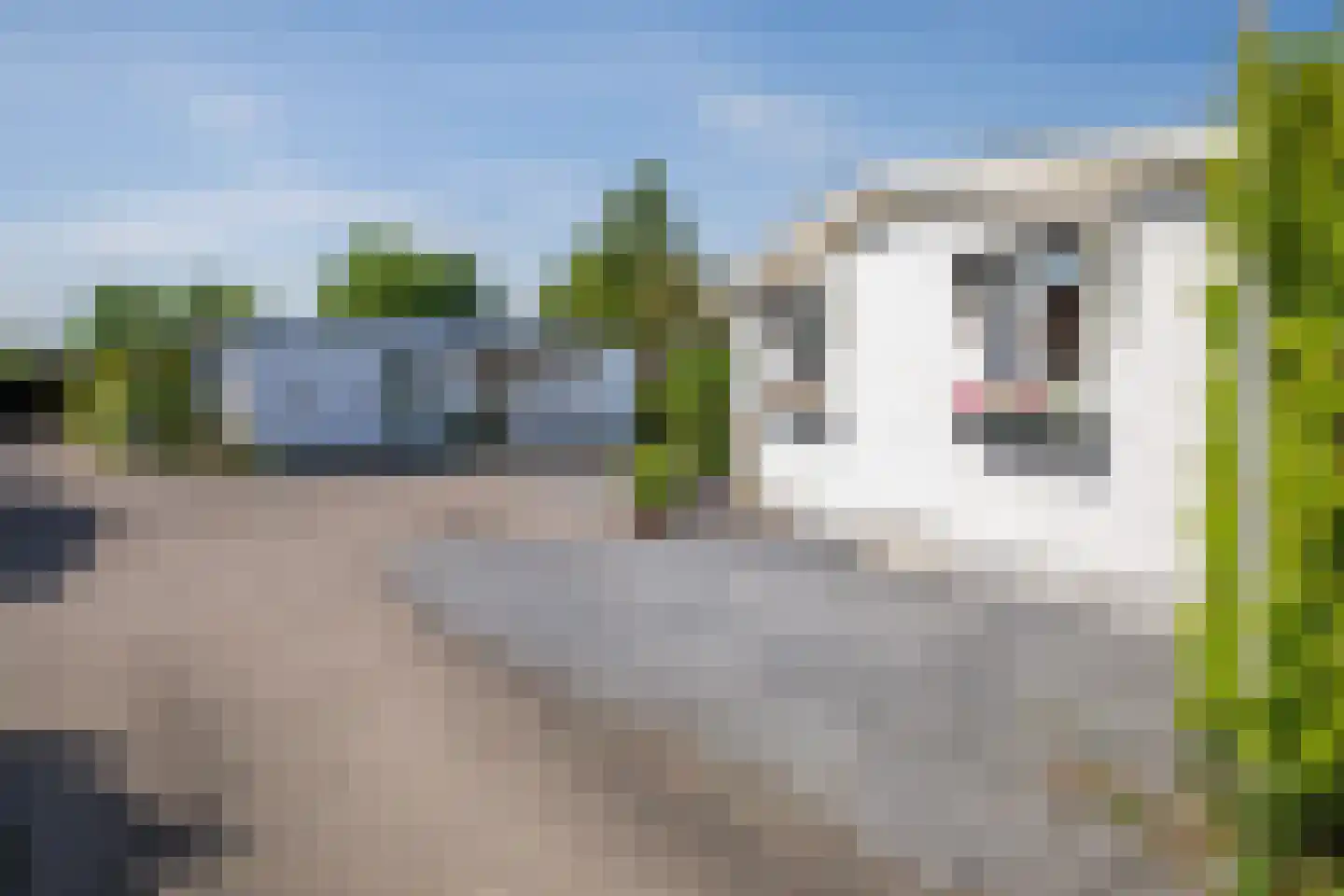 Rijnbandijk 111 85 Maurik thumbnail 89
