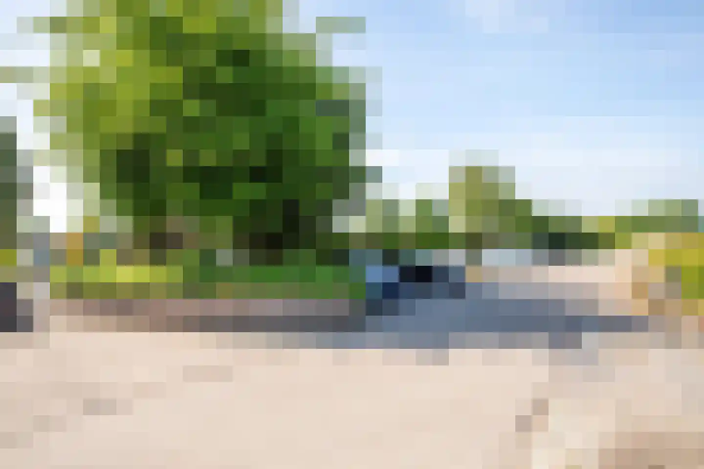 Rijnbandijk 111 85 Maurik thumbnail 97