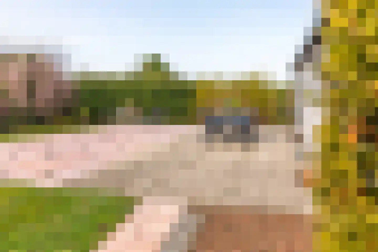 Rijnbandijk 111 87 Maurik thumbnail 25