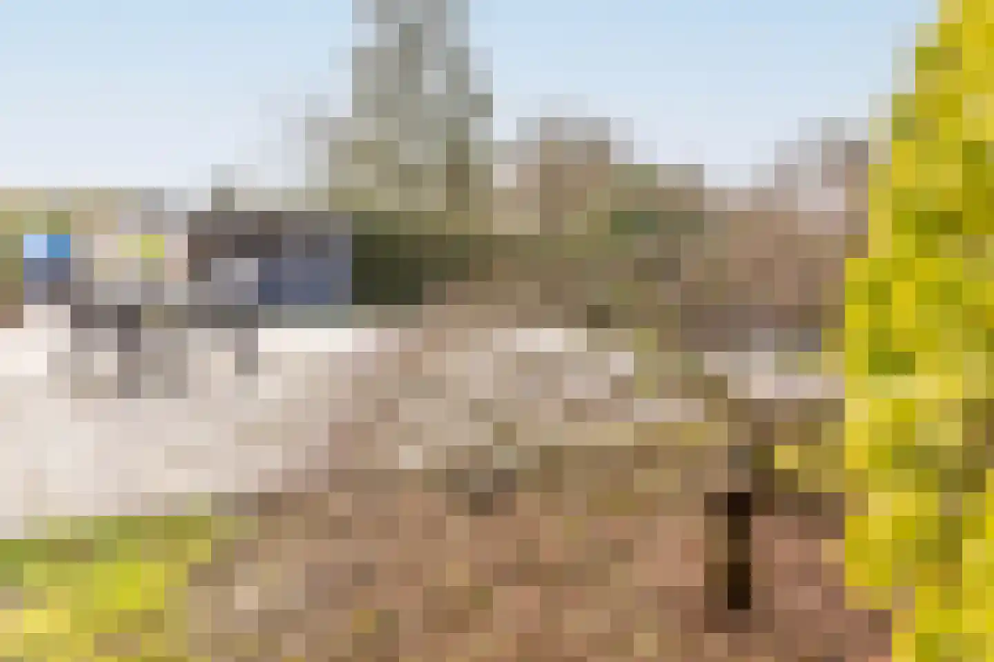 Rijnbandijk 111 87 Maurik thumbnail 27
