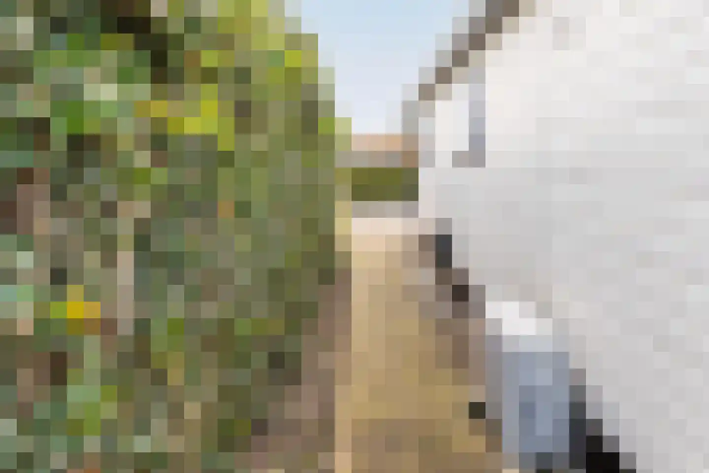 Rijnbandijk 111 87 Maurik thumbnail 29