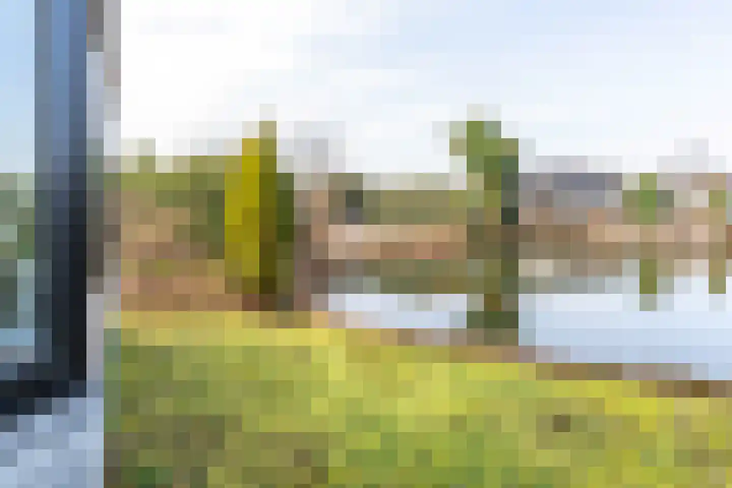 Rijnbandijk 111 87 Maurik thumbnail 30