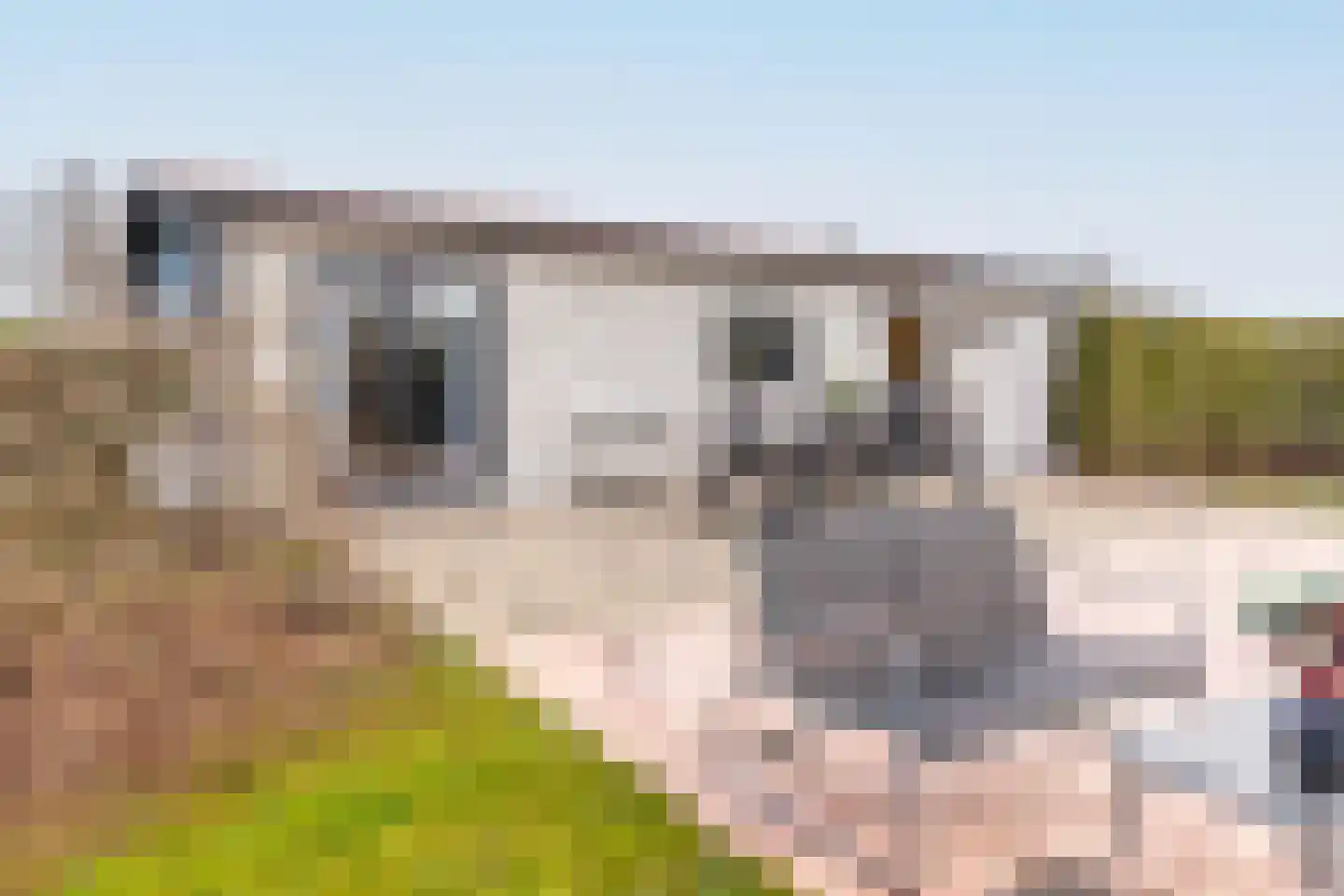 Rijnbandijk 111 87 Maurik thumbnail 38
